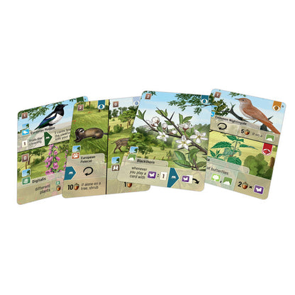 Forest Shuffle: Woodland Edge - Bản Mở Rộng Board Game