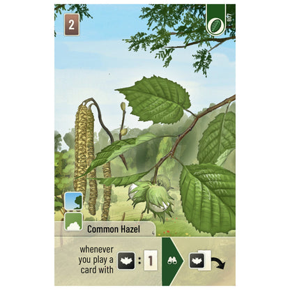 Forest Shuffle: Woodland Edge Card Game Expansion - Bản mở rộng Board game - Lookout Games