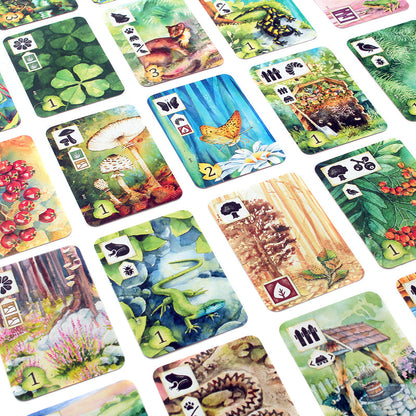 Meadow Board Game - Board Game Chiến Thuật Thiên Nhiên - Asmodee