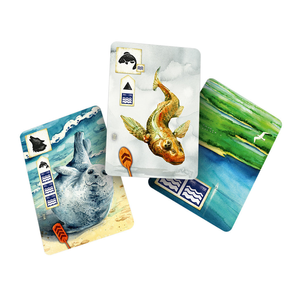 Meadow Downstream Board Game Expansion - Bản Mở Rộng Board Game Gia Đình - Rebel Studio