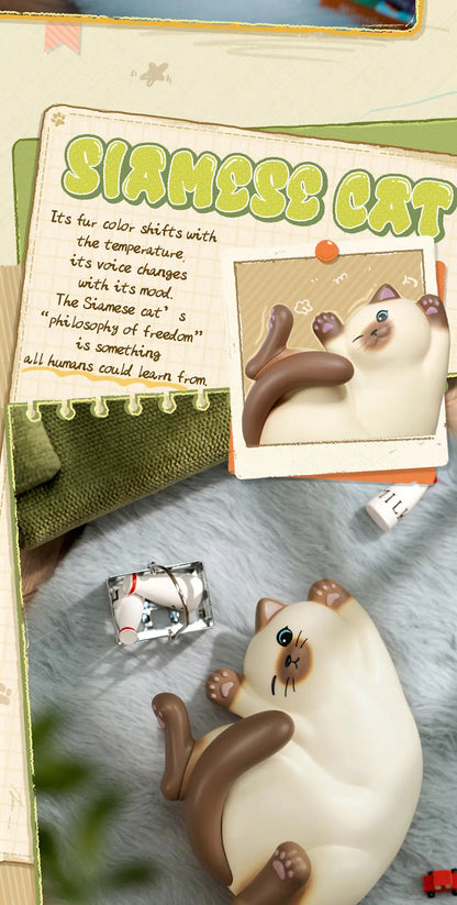 MEOWSTERY SOUND - Hộp mù Blind Box Art Toy Figure - 52TOYS