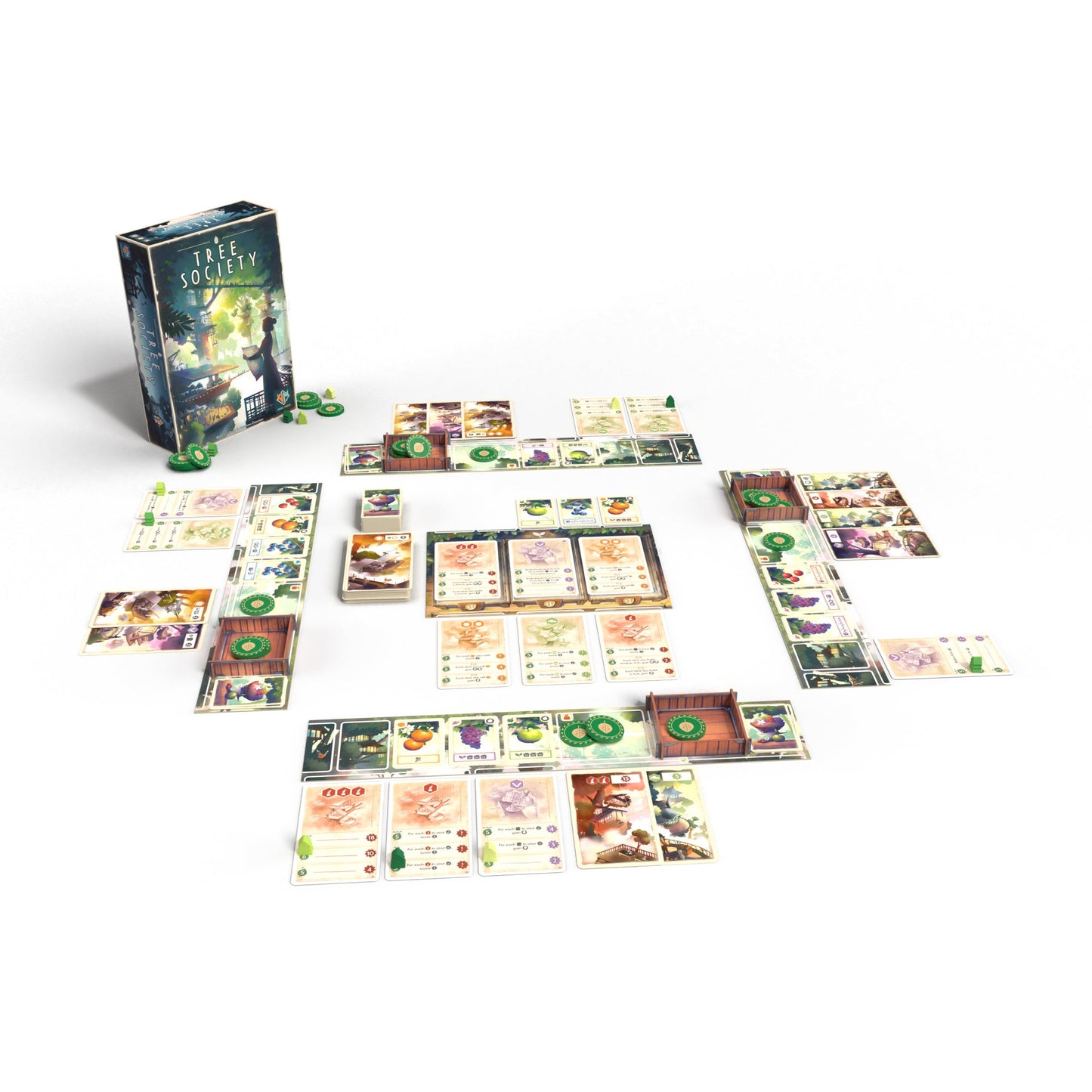 Tree Society Board Game - Trò Chơi Chiến Thuật Xây Dựng Cộng Đồng - Asmodee - Góc nhìn khác 3