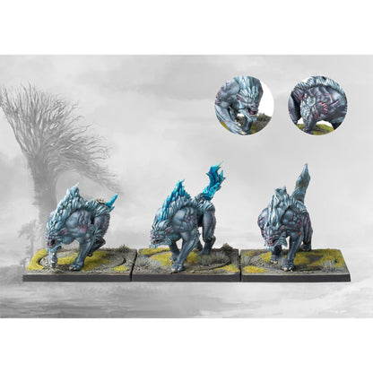 Conquest Miniatures Game - Nords: Fenr Beastpack Wargs - Mô Hình Chiến Thuật Sa Bàn - Para Bellum