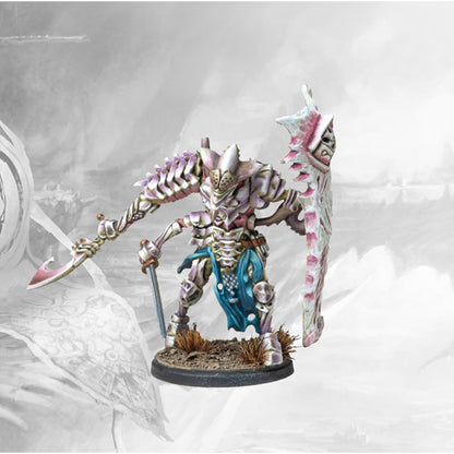 Conquest Miniatures Game - Spires: Ward Preceptor - Mô Hình Chiến Thuật Para Bellum - Hình ảnh chi tiết 2