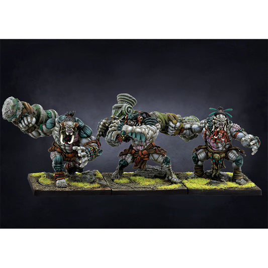 Conquest Miniatures Game - W’adrhŭn: Warbred - Mô Hình Chiến Binh Sa Bàn - Para Bellum - Hình ảnh chi tiết 2