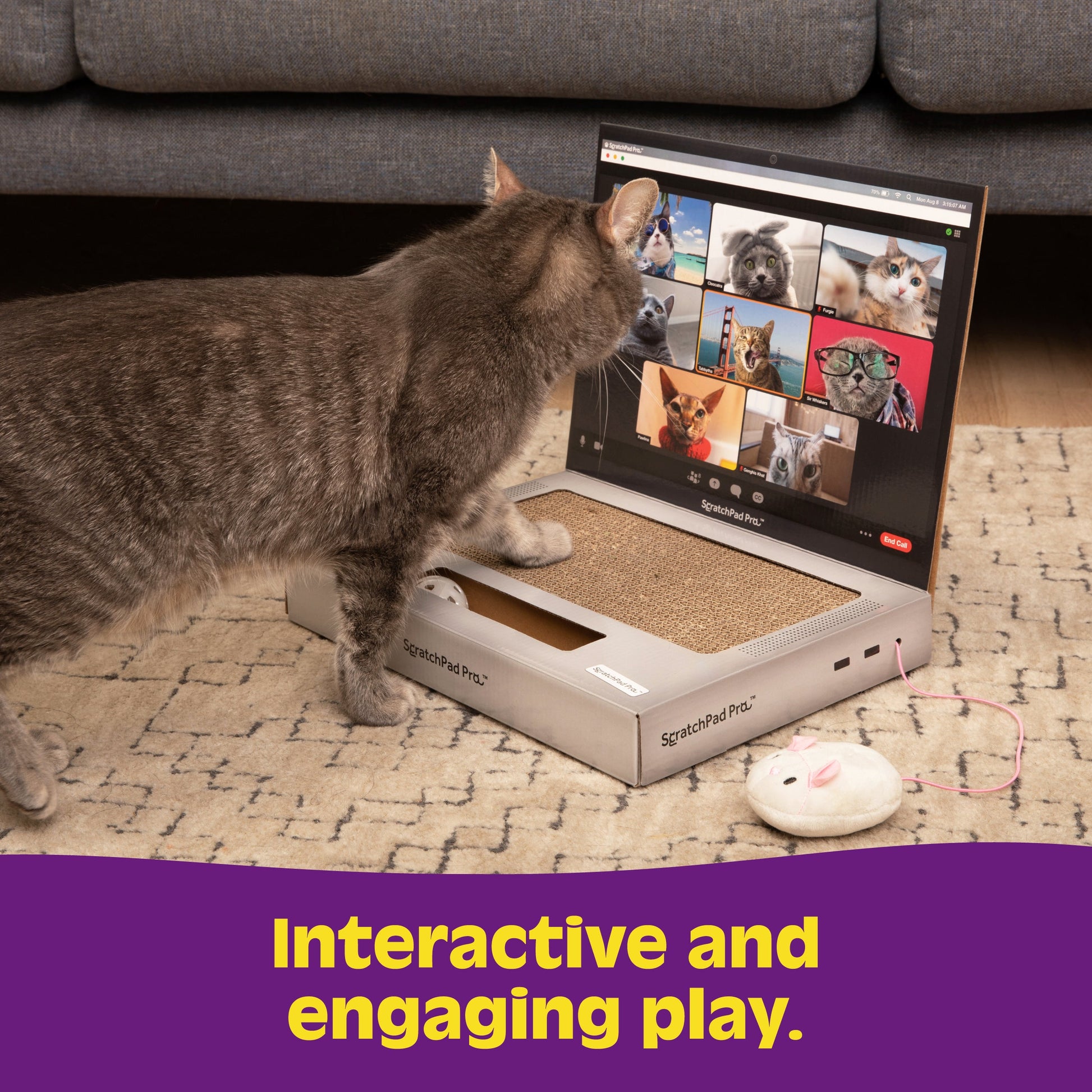 Scratchpad Pro - Bàn Cào Móng Cho Mèo Hình Laptop Bìa Cứng - Relatable - Góc nhìn khác 3