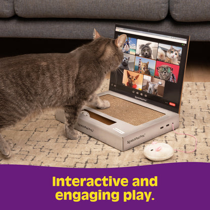 Scratchpad Pro - Bàn Cào Móng Cho Mèo Hình Laptop Bìa Cứng - Relatable - Góc nhìn khác 3