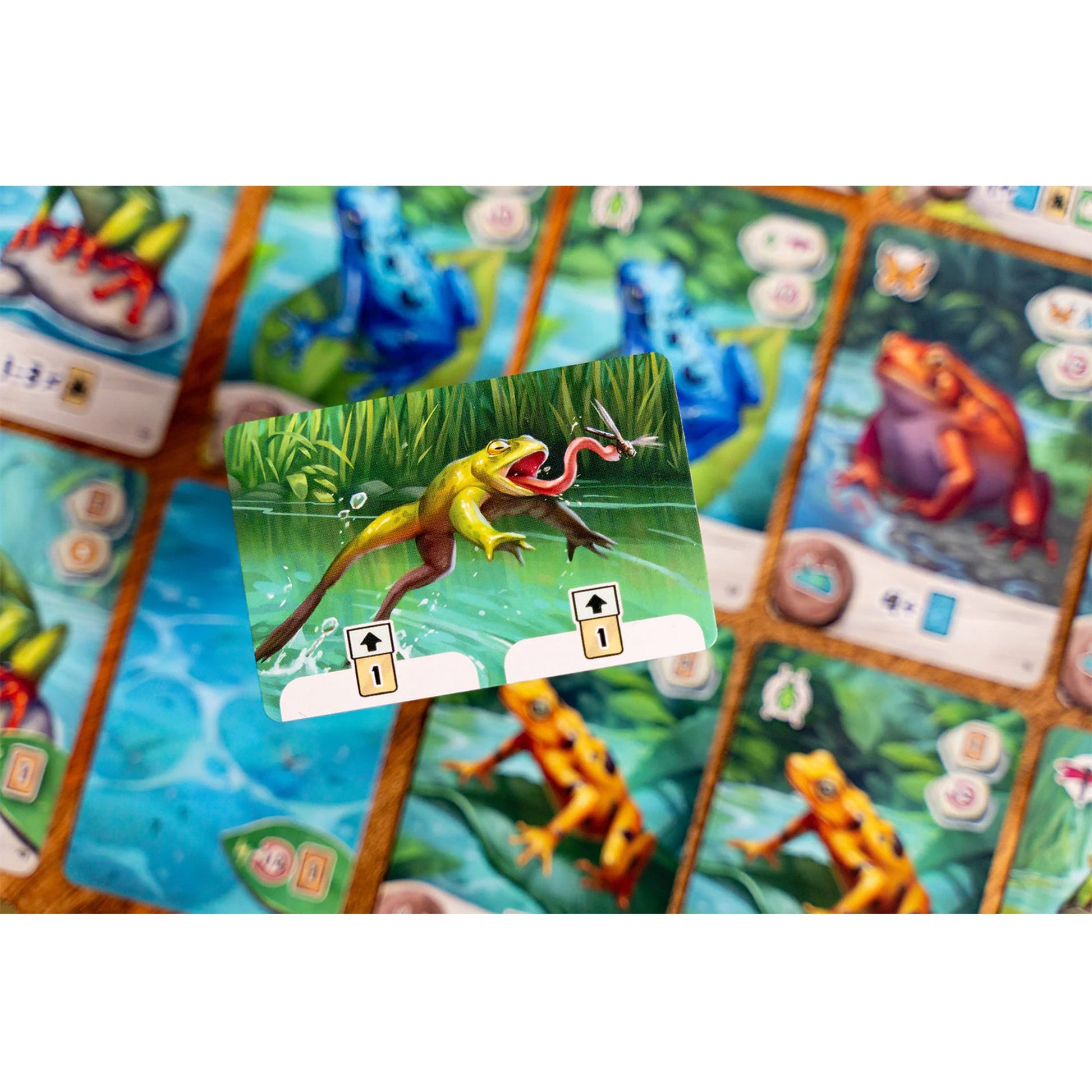 Pondscape Card Game