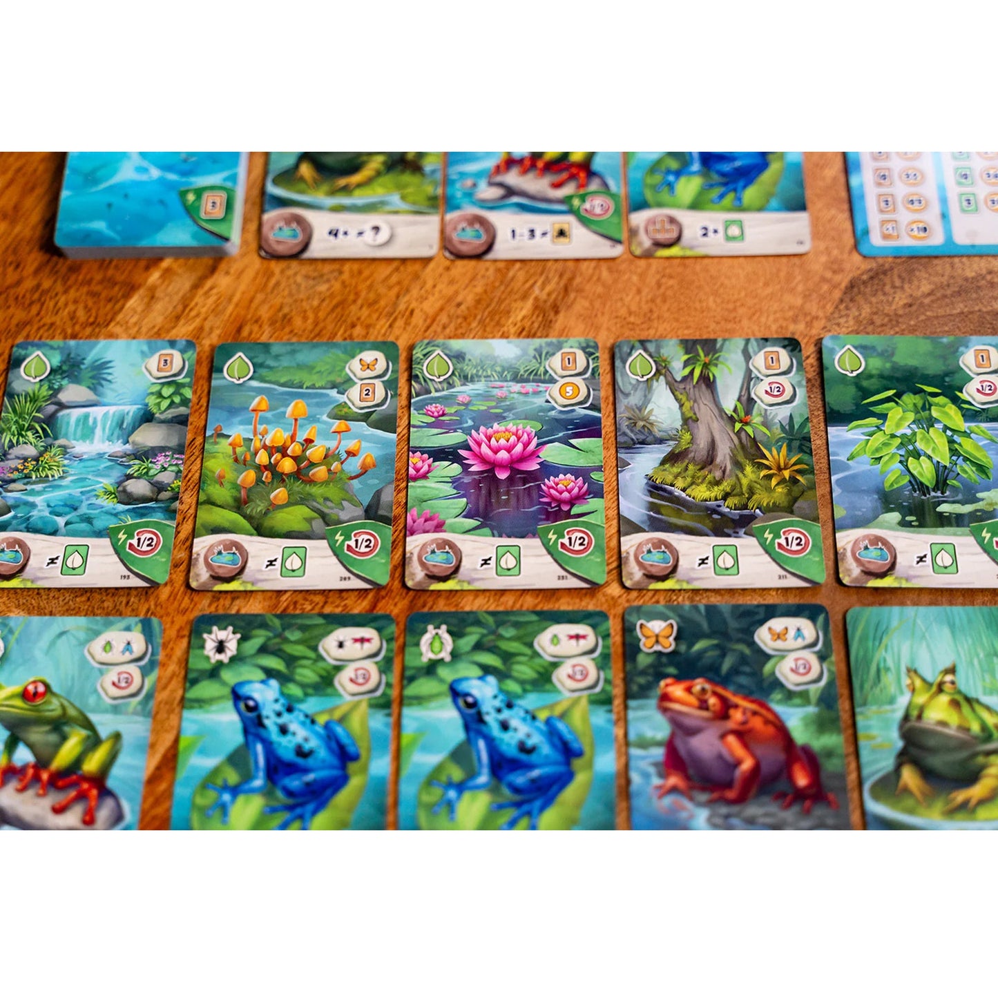 Pondscape Card Game