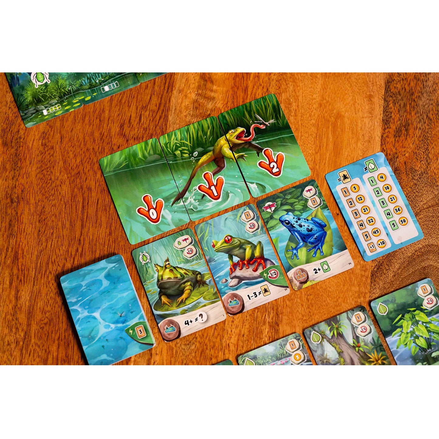 Pondscape Card Game
