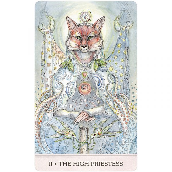 Bộ bài Phantasma Tarot - Thức tỉnh tâm linh qua thế giới thần tiên