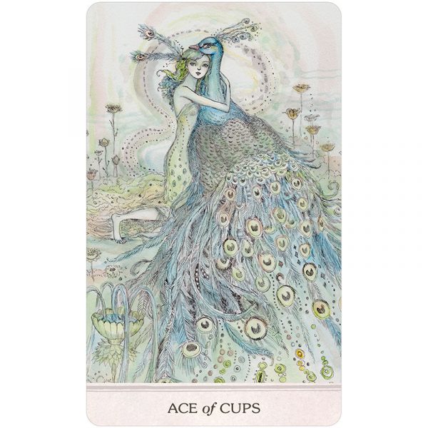 Bộ bài Phantasma Tarot - Thức tỉnh tâm linh qua thế giới thần tiên