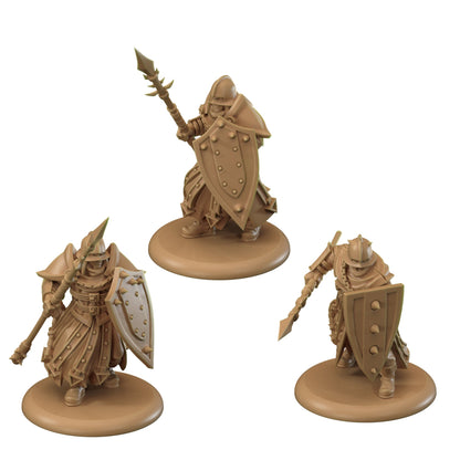 A Song of Ice & Fire Tabletop Miniatures Game - Dreadfort Spearmen - Board Game Chiến Thuật - CMON