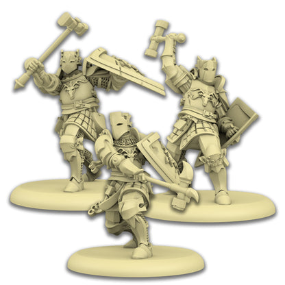 A Song of Ice & Fire Tabletop Miniatures Game Baratheon Wardens - Bộ Mô Hình Chiến Thuật - CMON
