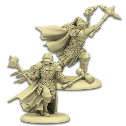 A Song of Ice & Fire Tabletop Miniatures Game Baratheon Sentinels - Bộ Mô Hình Chiến Thuật - CMON