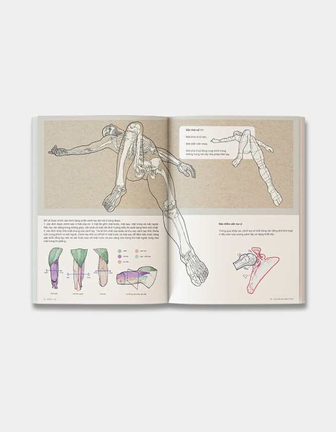 69 Sắc Thái - Giải Phẫu Học Nghệ Thuật - Comicola Shop