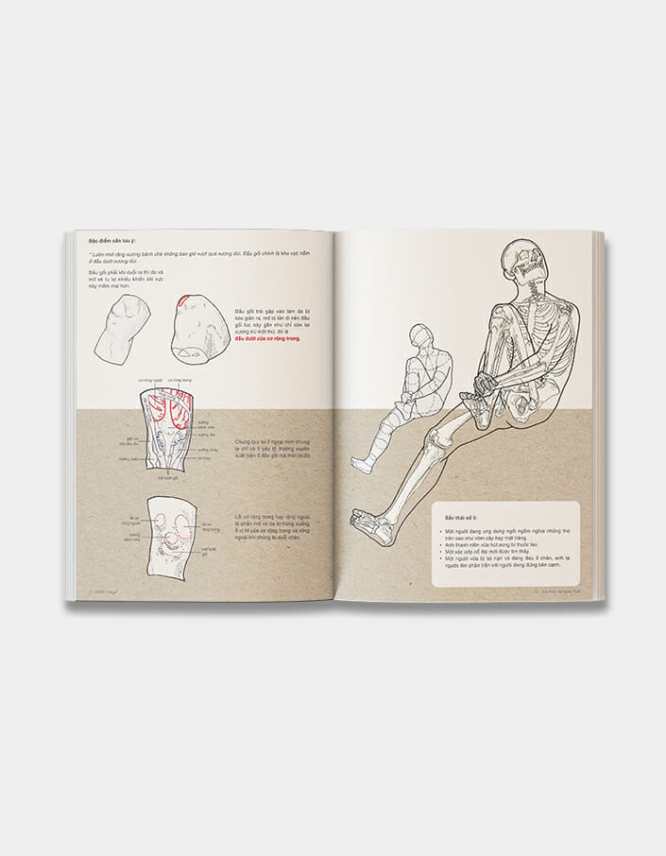 69 Sắc Thái - Giải Phẫu Học Nghệ Thuật - Comicola Shop
