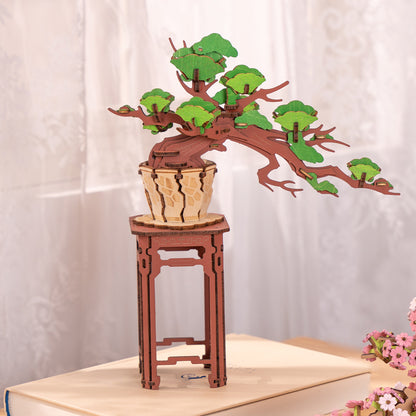 Rolife 3D Wooden Puzzle - Evergreen Pine Bonsai TG510 - Mô hình lắp ráp gỗ 3D Cây thông Bonsai - Rolife