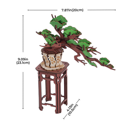 Rolife 3D Wooden Puzzle - Evergreen Pine Bonsai TG510 - Mô hình lắp ráp gỗ 3D Cây thông Bonsai - Rolife