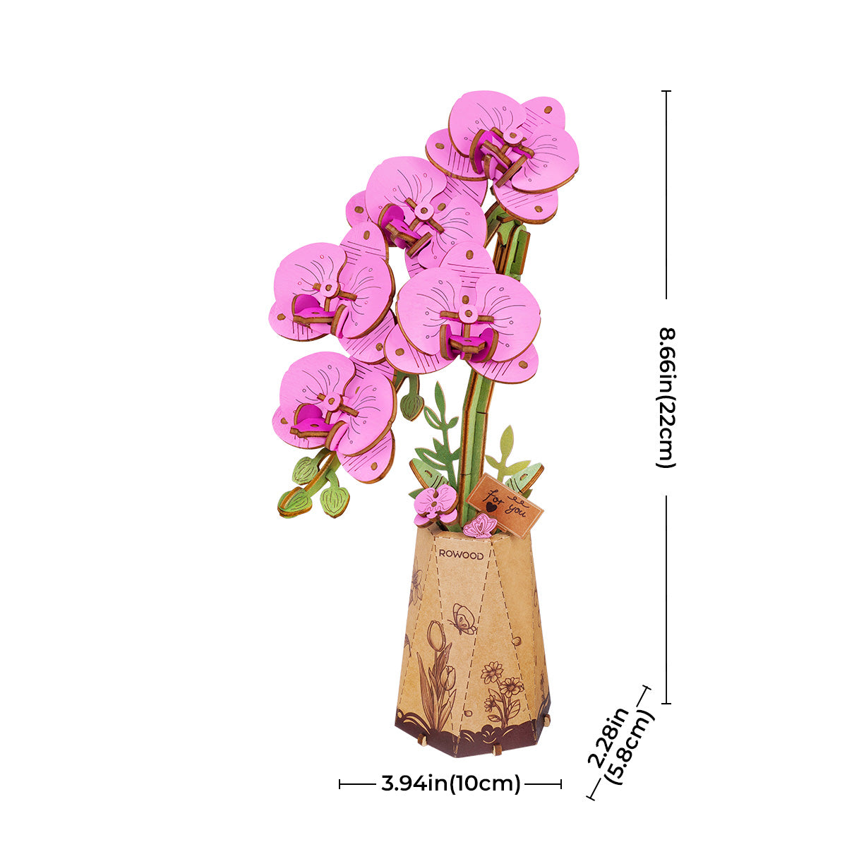 Rowood DIY Wooden Flower Purple Moth Orchid TW091 - Mô hình lắp ráp gỗ 3D - Rolife
