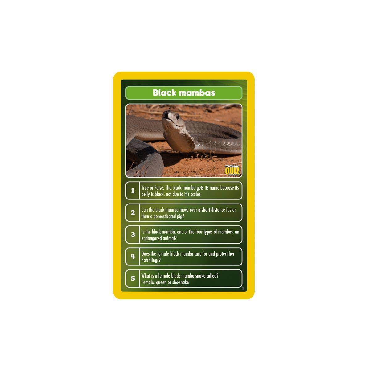 World of Animals Top Trumps Quiz Card Game - Trò Chơi Thẻ Bài Kiến Thức Động Vật - Winning Moves - Hình ảnh bổ sung 4