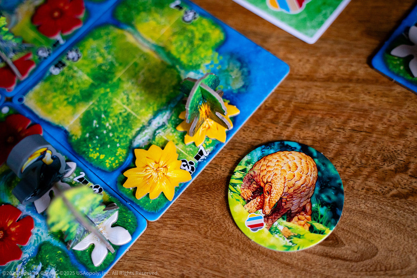 HUTAN - Board game chiến thuật xây dựng rừng nhiệt đới - The Op Games