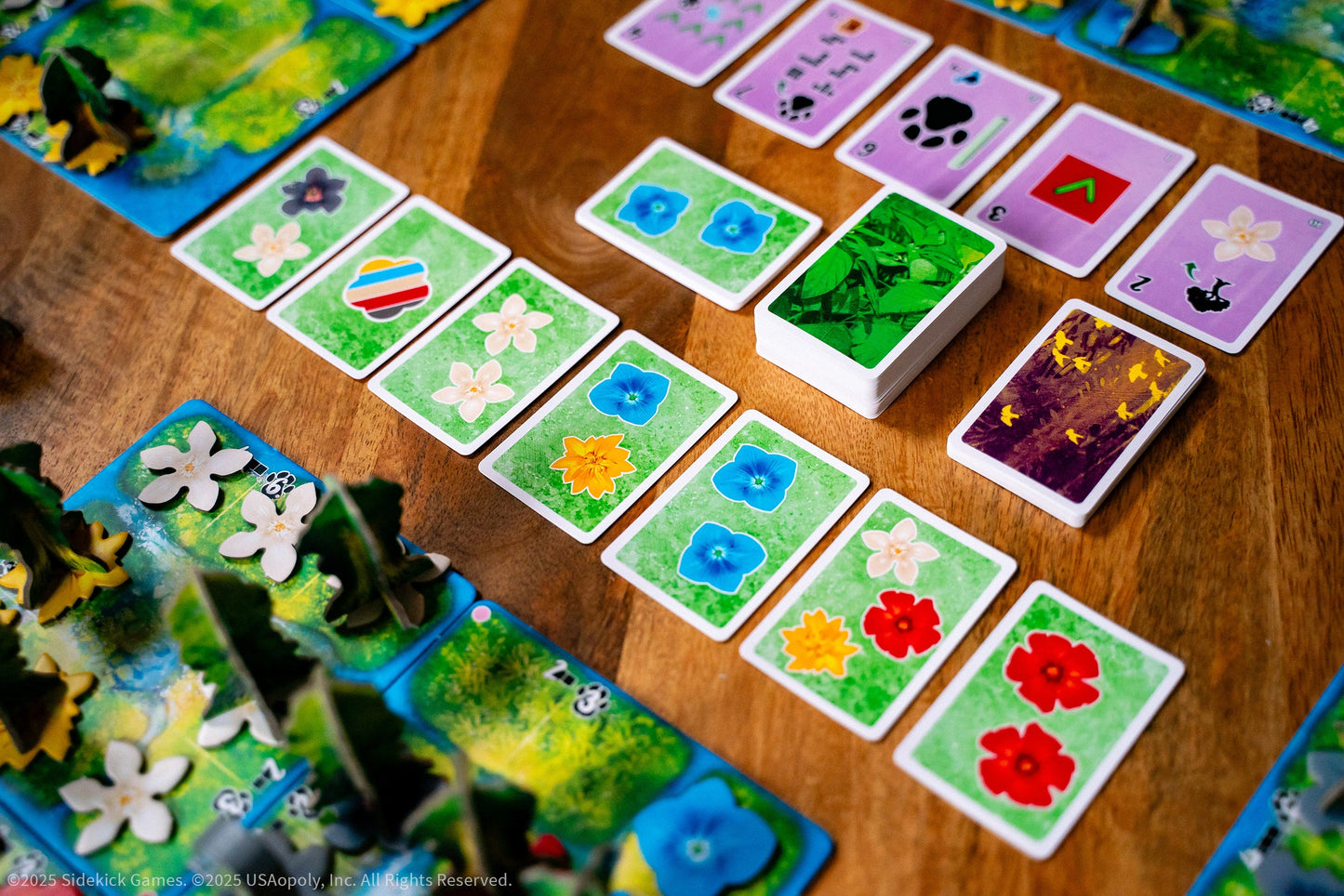 HUTAN - Board game chiến thuật xây dựng rừng nhiệt đới - The Op Games