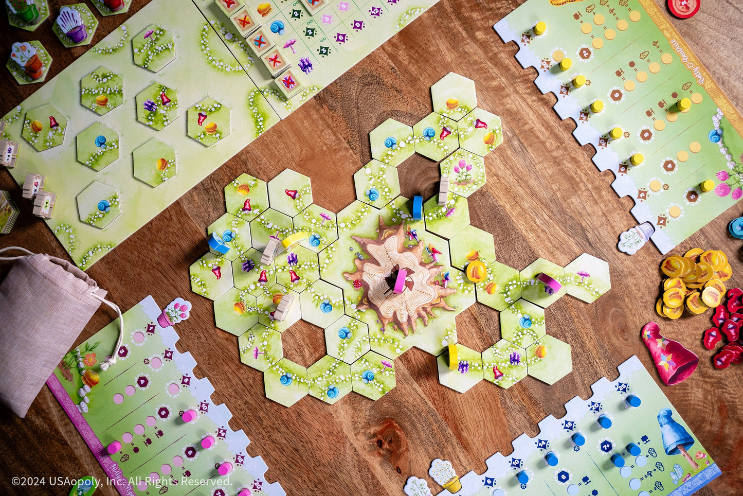 Gnome Hollow - Trò chơi chiến thuật Eurogame - The Op Games