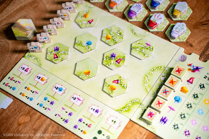 Gnome Hollow - Trò chơi chiến thuật Eurogame - The Op Games