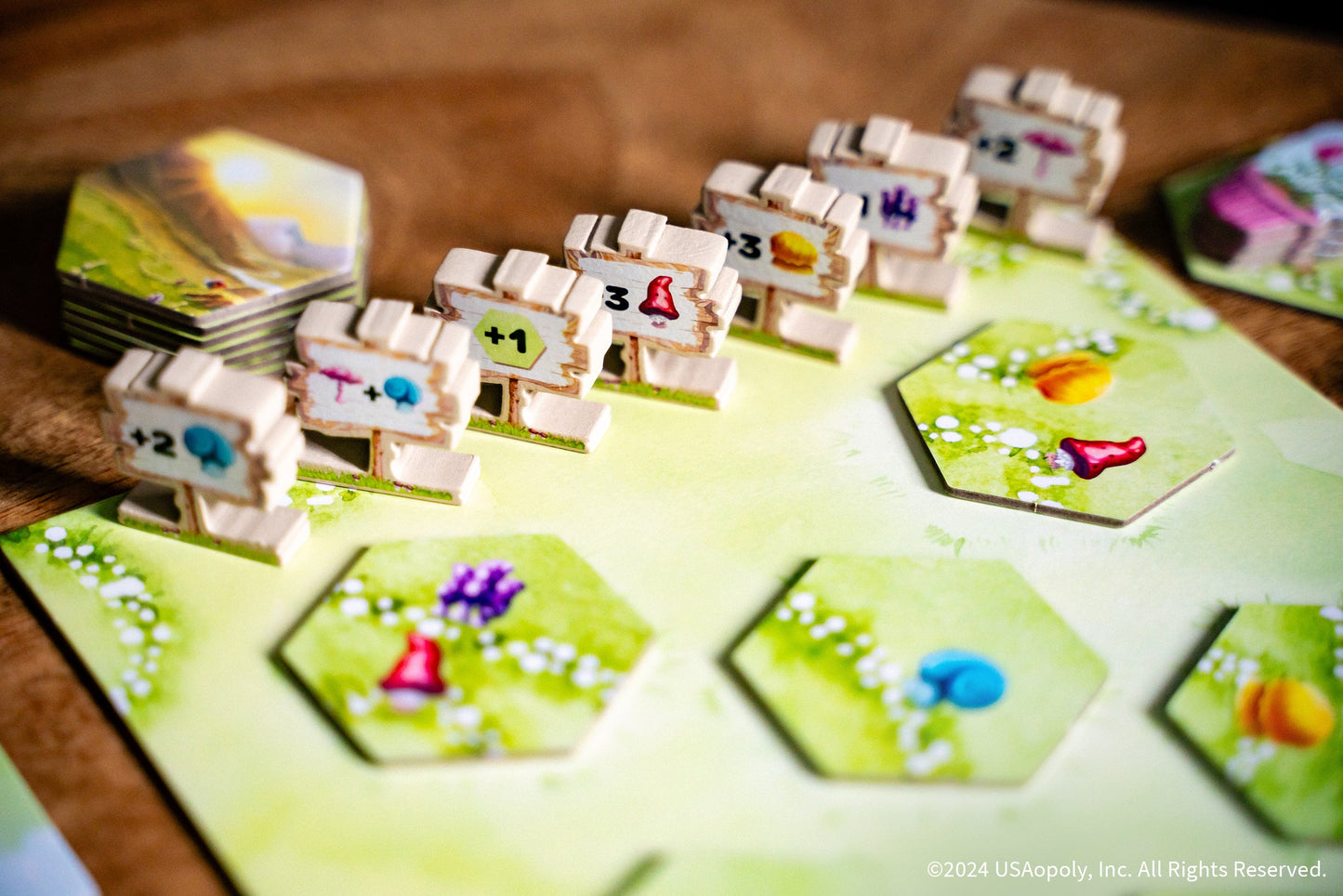 Gnome Hollow - Trò chơi chiến thuật Eurogame - The Op Games