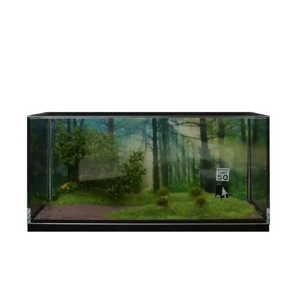 Diorama 1:64 - Khoảng Rừng Thưa
