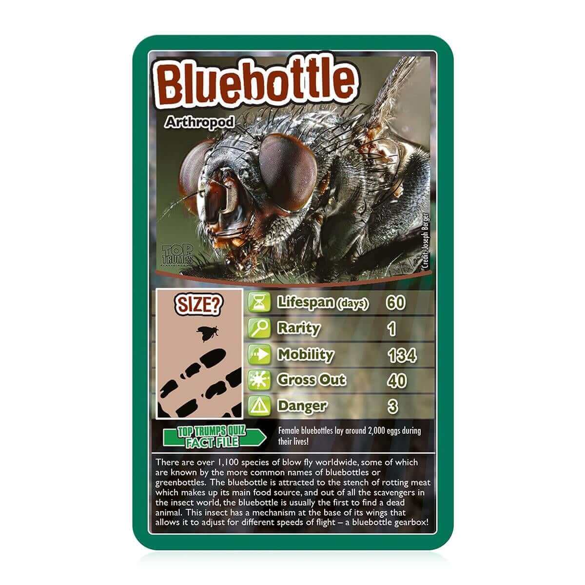 Bugs Top Trumps Card Game - Trò chơi thẻ bài côn trùng - Winning Moves - Hình ảnh chi tiết 2