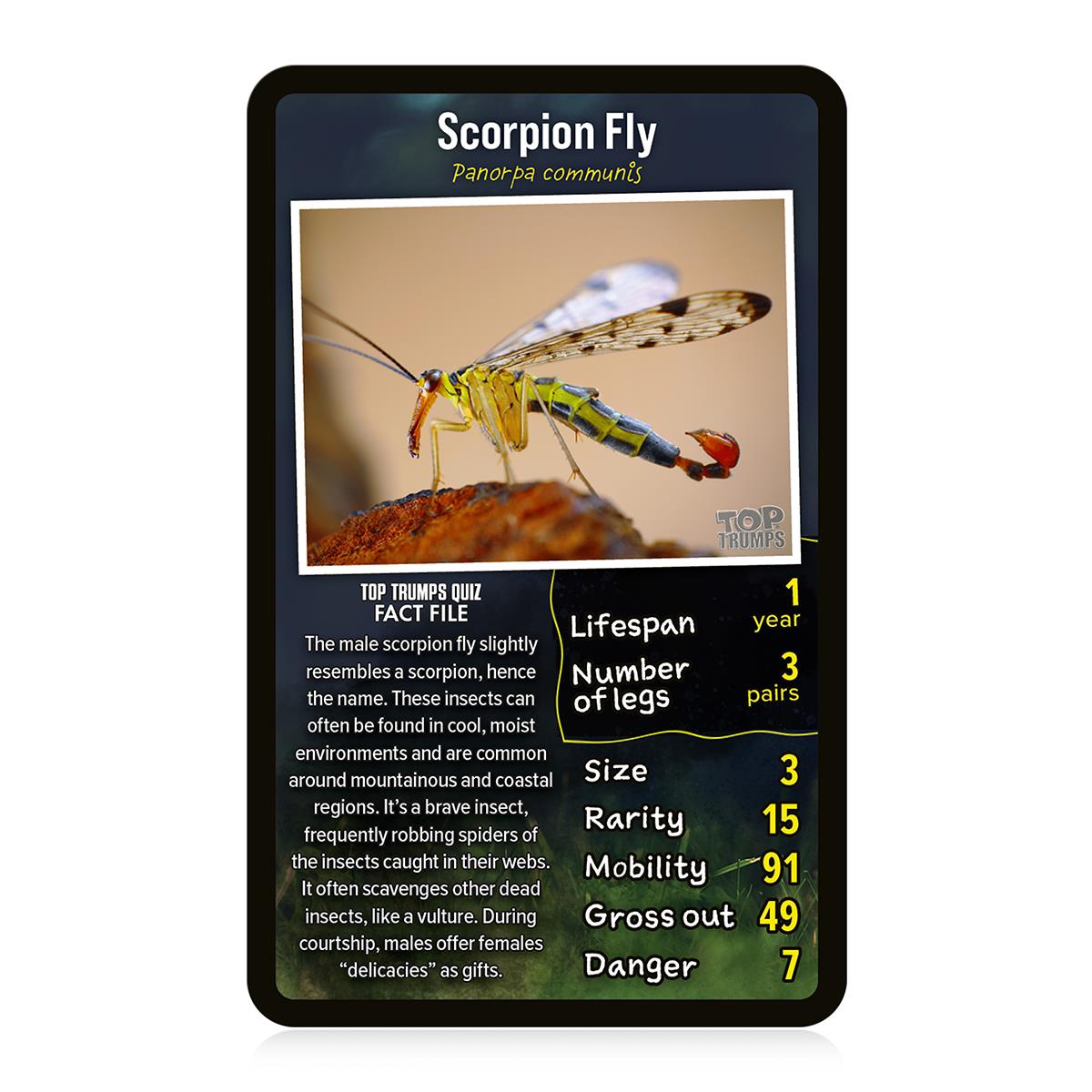 Creepy Crawlies Top Trumps Card Game - Trò Chơi Thẻ Bài Giáo Dục Côn Trùng - Winning Moves - Hình ảnh bổ sung 4