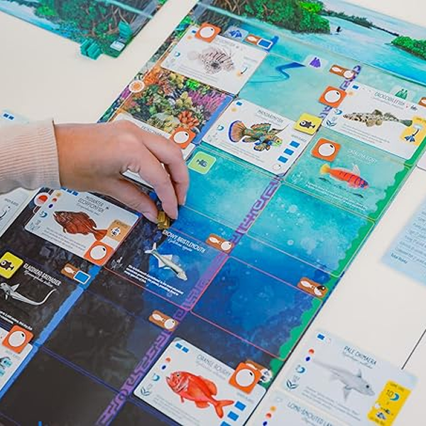 Finspan - Board Game Chiến Thuật Thu Thập Cá - Stonemaier Games