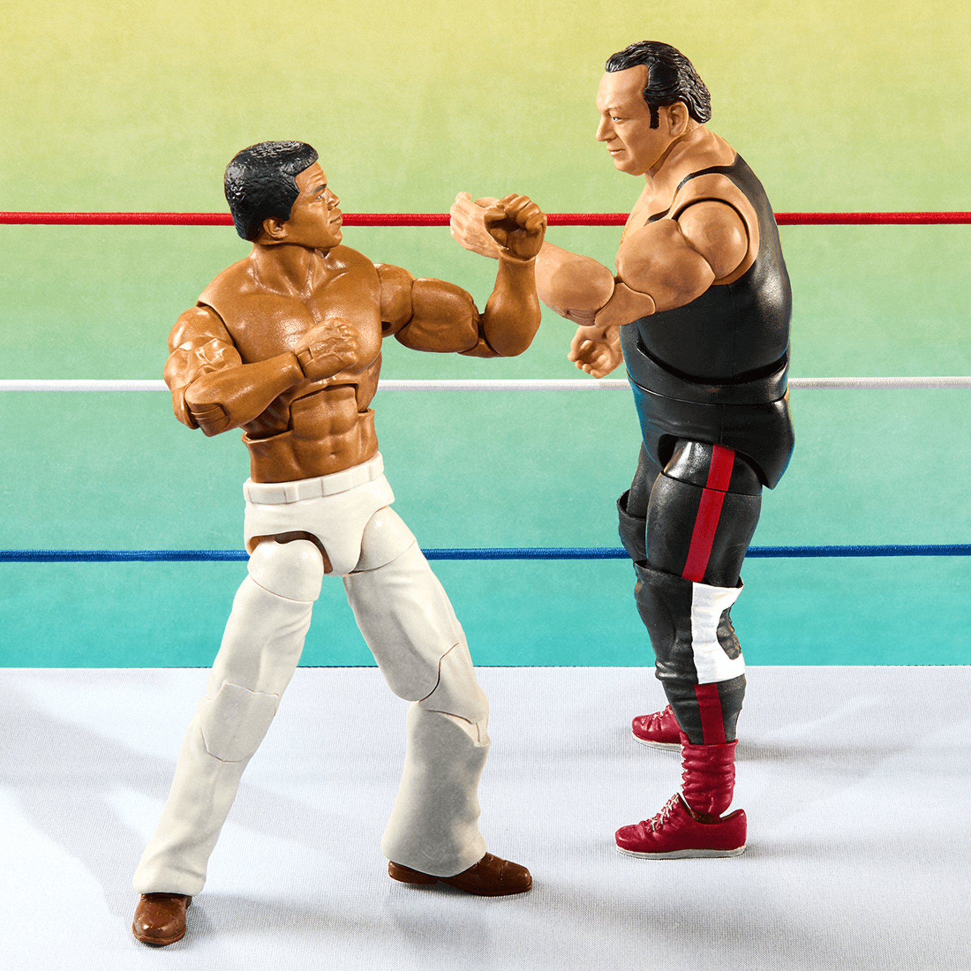 WWE Elite Collection Legends From the Territory Era 4-Figure Multipack - Bộ 4 Mô Hình Đấu Vật Mỹ - Mattel Creations - Hình ảnh bổ sung 4