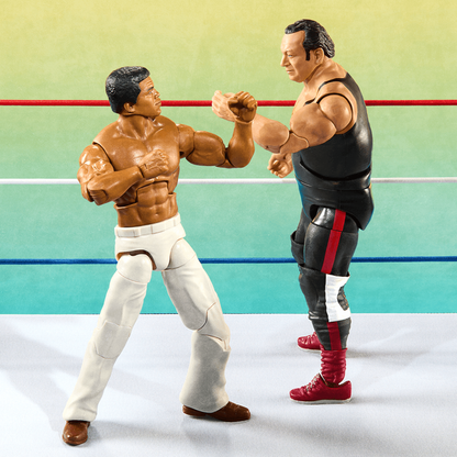 WWE Elite Collection Legends From the Territory Era 4-Figure Multipack - Bộ 4 Mô Hình Đấu Vật Mỹ - Mattel Creations - Hình ảnh bổ sung 4