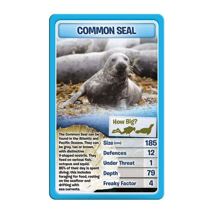 Creatures of the Deep Top Trumps Card Game - Trò chơi thẻ bài Sinh vật biển sâu - Winning Moves - Hình ảnh chi tiết 2