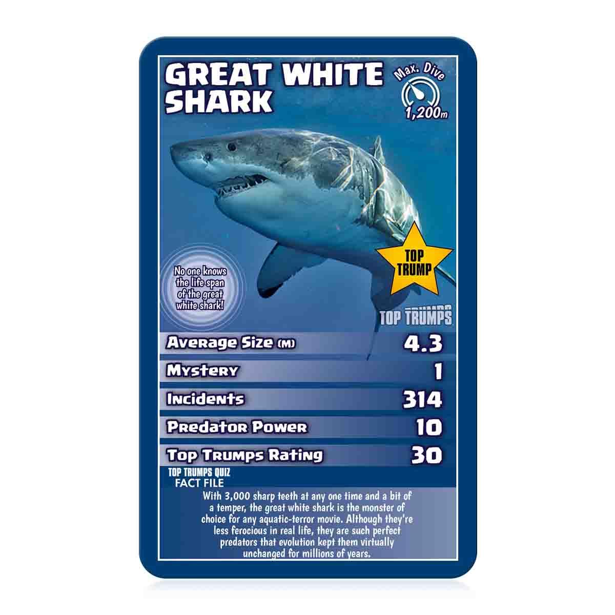 Sharks Top Trumps Card Game - Trò Chơi Thẻ Bài Cá Mập Giáo Dục - Winning Moves - Hình ảnh chi tiết 2