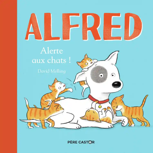 Alfred - Alerte Aux Chats !