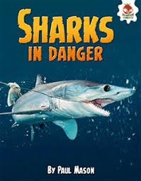 Shark! Sharks in Danger