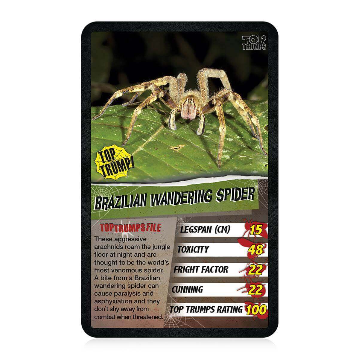 Spiders Top Trumps Card Game - Trò Chơi Thẻ Bài Giáo Dục - Winning Moves - Hình ảnh bổ sung 4