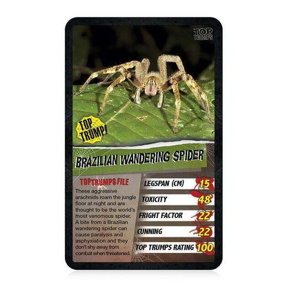 Spiders Top Trumps Card Game - Trò Chơi Thẻ Bài Giáo Dục - Winning Moves - Hình ảnh bổ sung 4