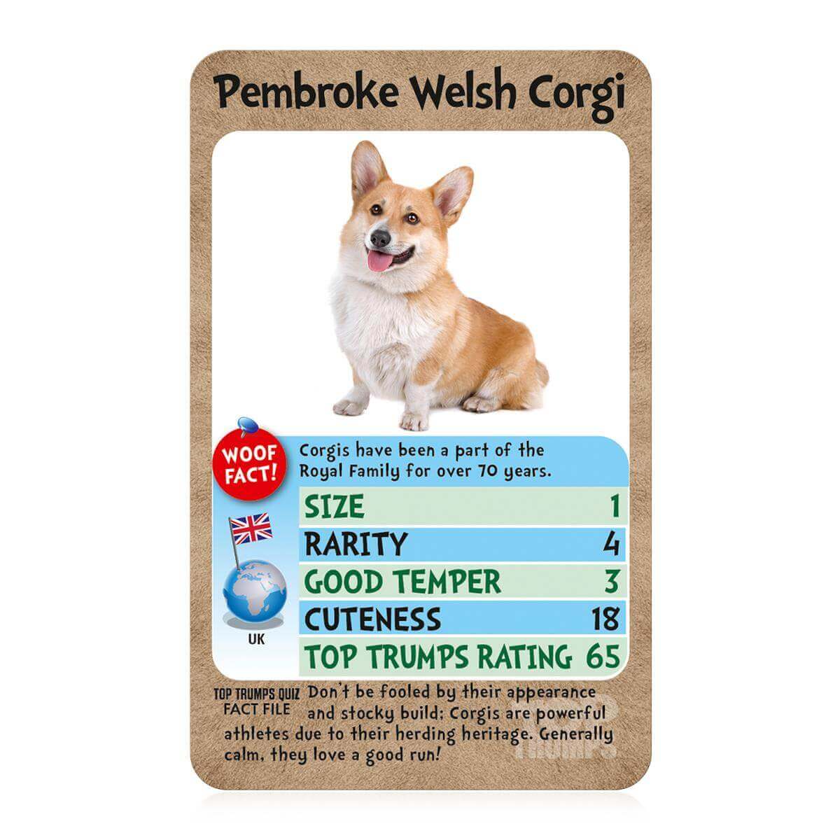 Dogs Top Trumps Card Game - Trò chơi thẻ bài giáo dục loài chó - Winning Moves