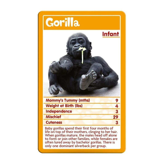 Baby Animals Top Trumps Card Game - Bộ Bài Động Vật Nhỏ Dễ Thương - Winning Moves - Hình ảnh chi tiết 2