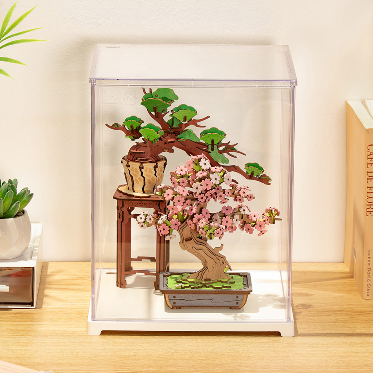 Rolife Clear Display Case Portrait Size M DF05L - Hộp trưng bày trong suốt cho Book Nook - Rolife