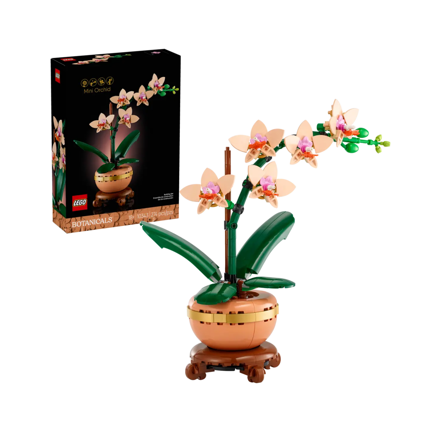 Đồ Chơi Lắp Ráp Hoa Lan Nhỏ LEGO BOTANICALS 10343