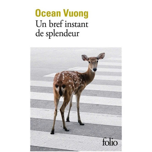 Un Bref Instant De Splendeur