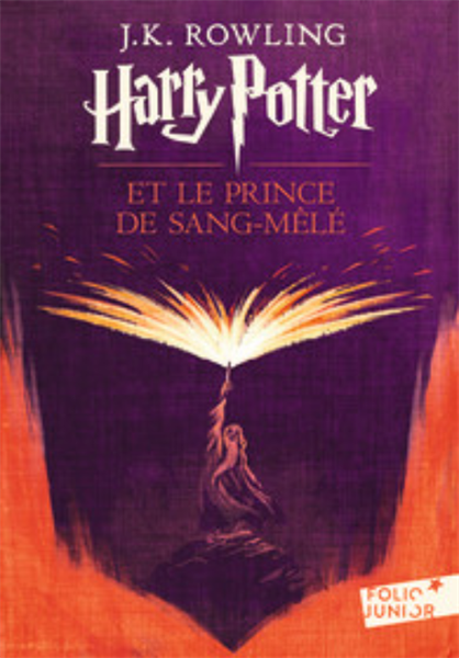 Harry Potter - Vi - Harry Potter Et Le Prince De Sang-Mele