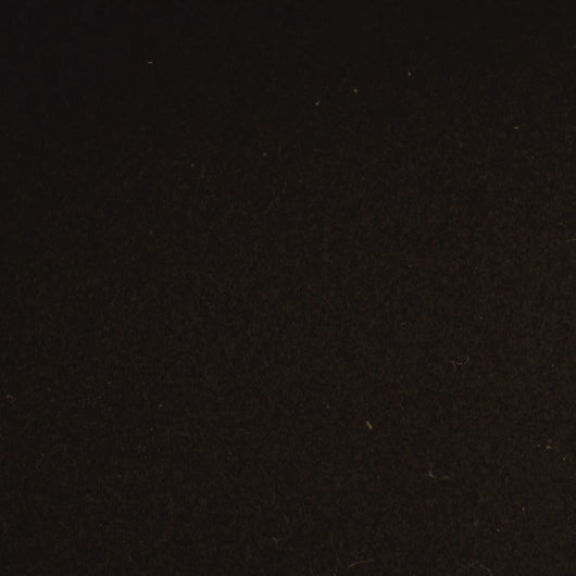 Arkham Horror: The Card Game - Film Fatale Scenario Pack - Bản mở rộng kịch bản - Fantasy Flight Games