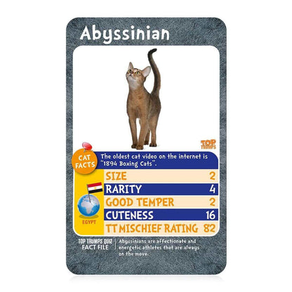 Cats Top Trumps Card Game - Trò chơi thẻ bài giáo dục - Winning Moves - Hình ảnh chi tiết 2